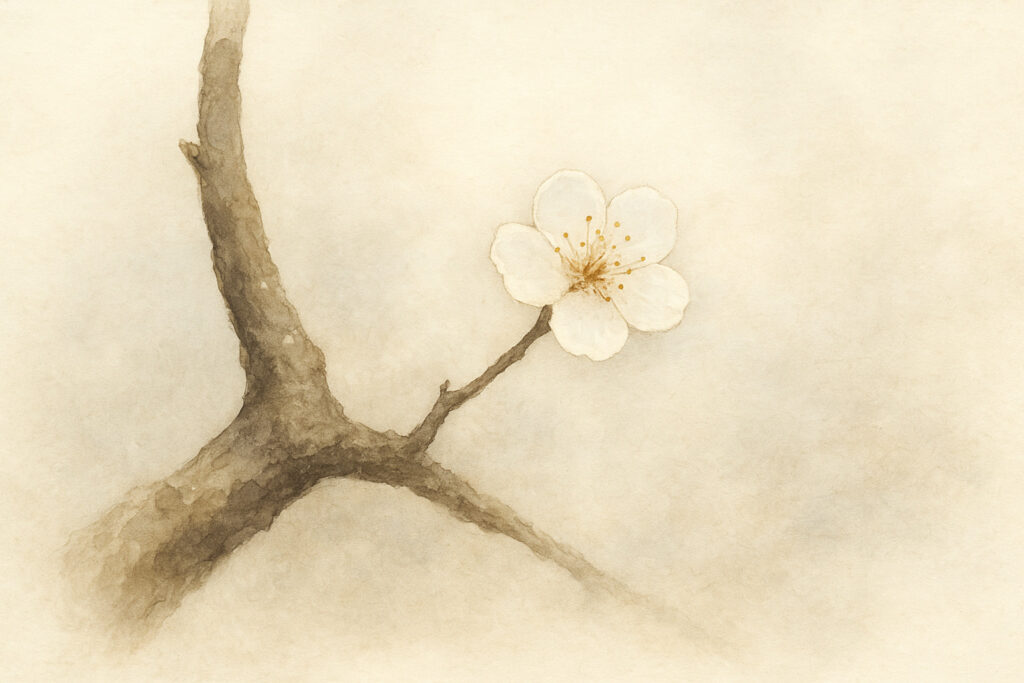 釈迦は法話をせずに法座を降りた。梅の老木の枝に咲く一輪の白い花は釈迦が言葉以外の教えを示したイメージ。