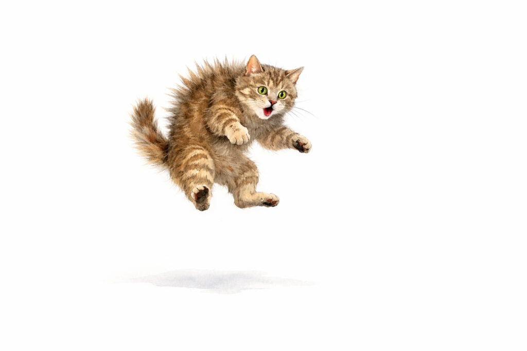 南泉の言葉や常識や思考や理屈の束を断ち切れという行動に驚いた猫のイメージ。